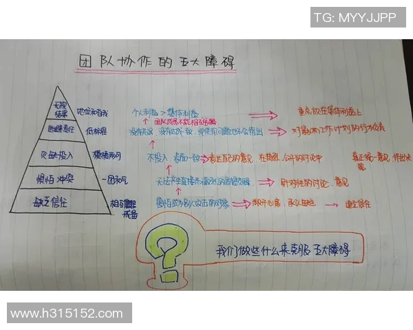 成都乒乓球队的团队协作之道：凝聚力与默契的完美结合