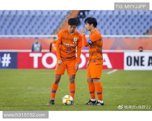 深圳排球队逆袭之路揭示团队精神与奋斗不息的传奇故事