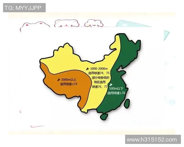 上海羽毛球队技术对比深度分析揭示训练与比赛中的优势与不足