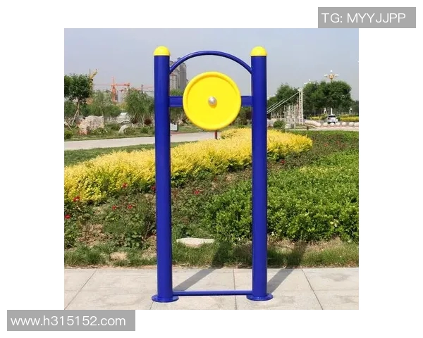 西湖健身器材：特色健身设备推荐